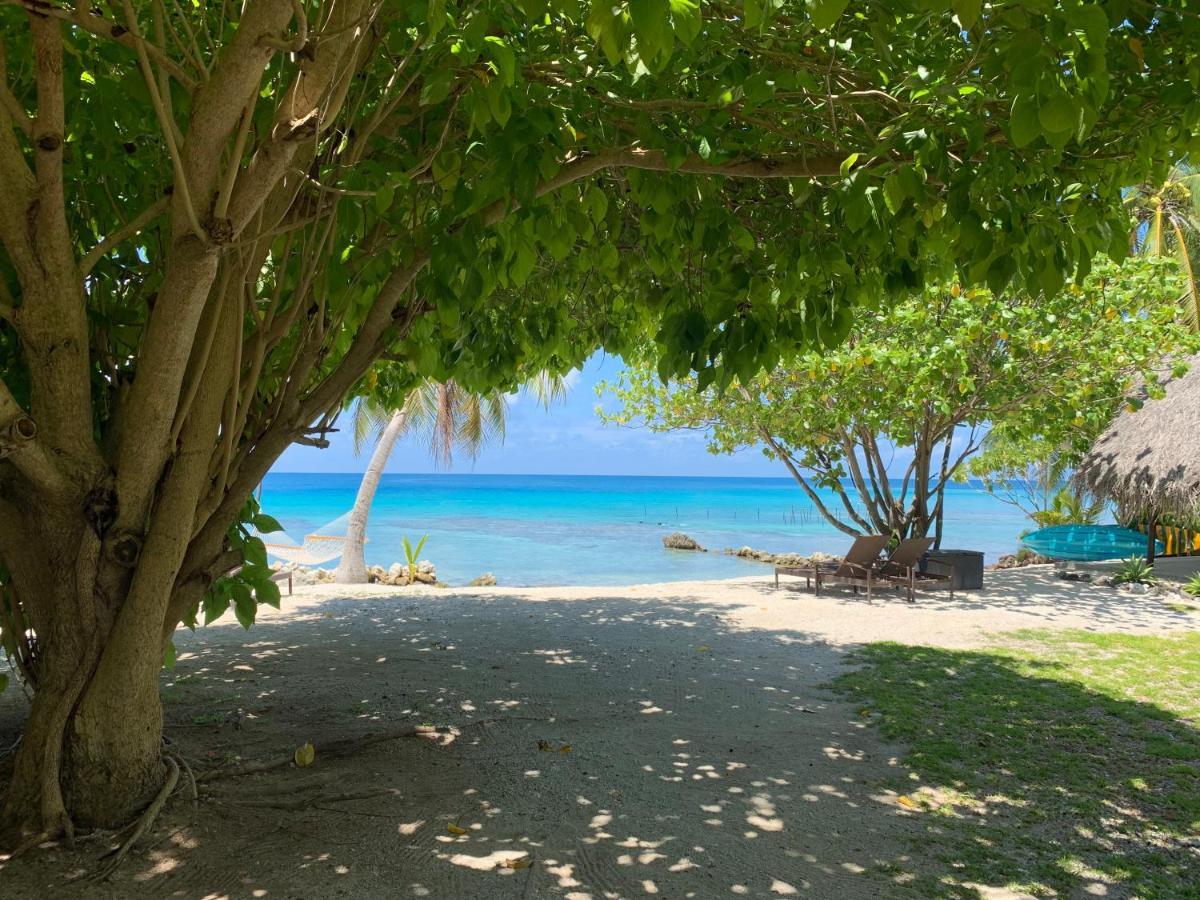 Le Coconut Lodge Avatoru Exteriér fotografie