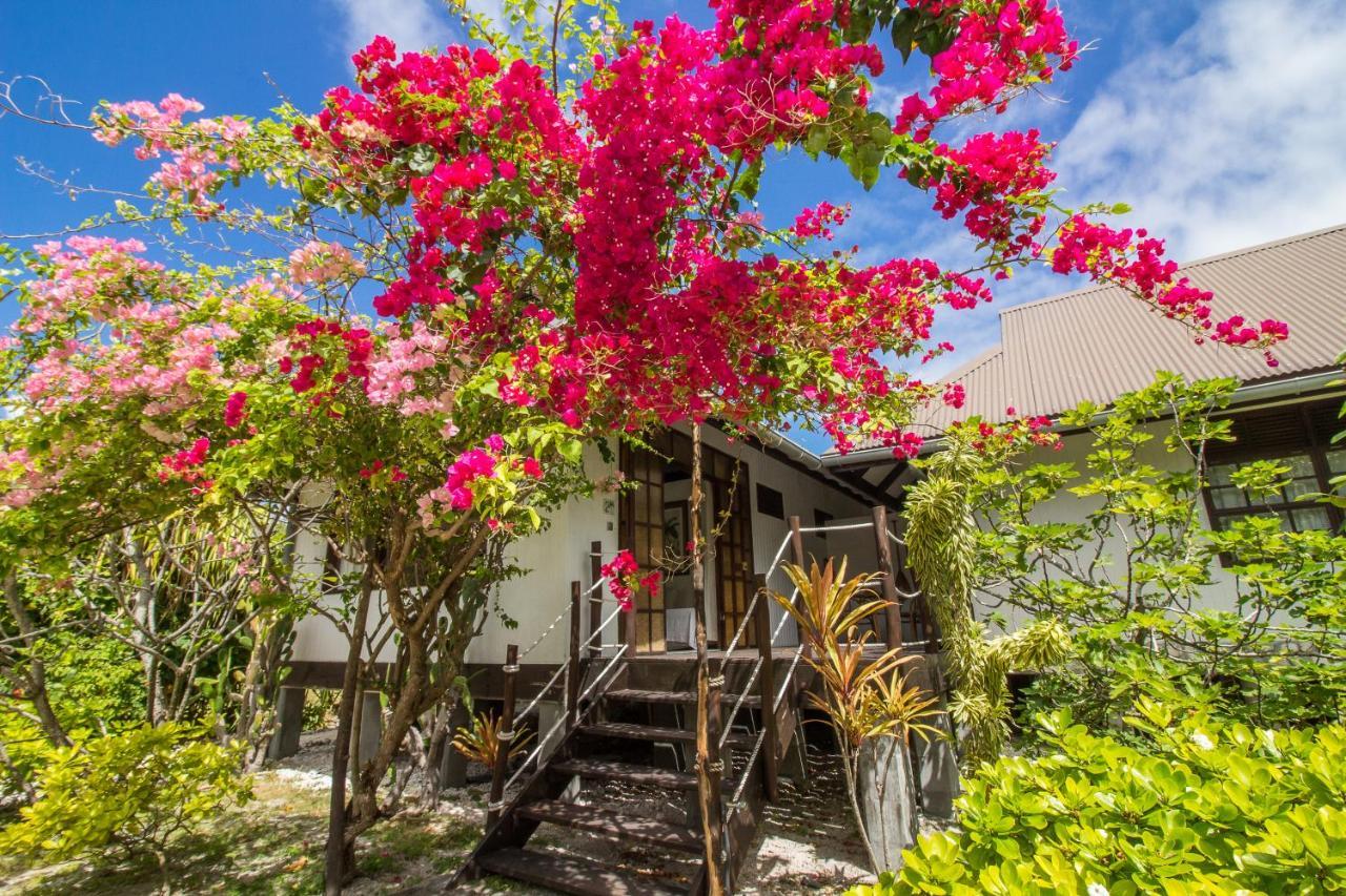 Le Coconut Lodge Avatoru Exteriér fotografie